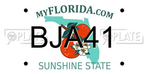 BJA41 Florida License Plate