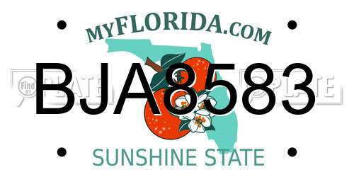 BJA8583 Florida License Plate