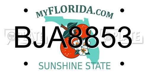 BJA8853 Florida License Plate