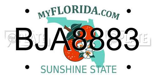 BJA8883 Florida License Plate