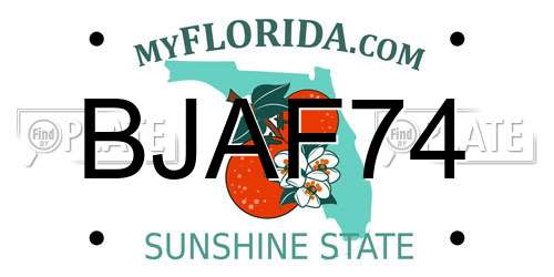 BJAF74 Florida License Plate