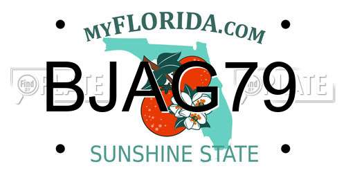 BJAG79 Florida License Plate