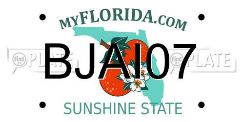 BJAI07 Florida License Plate