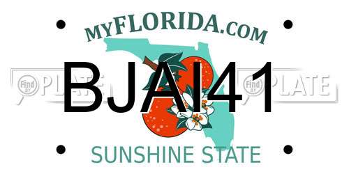BJAI41 Florida License Plate