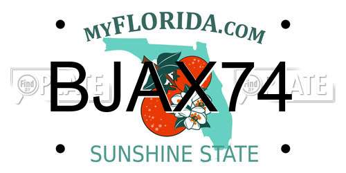 BJAX74 Florida License Plate