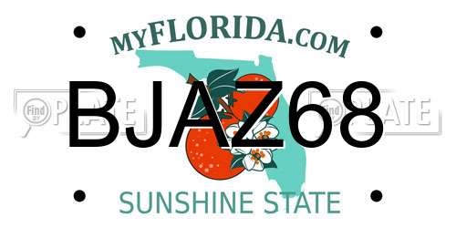 BJAZ68 Florida License Plate