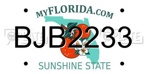 BJB2233 Florida License Plate