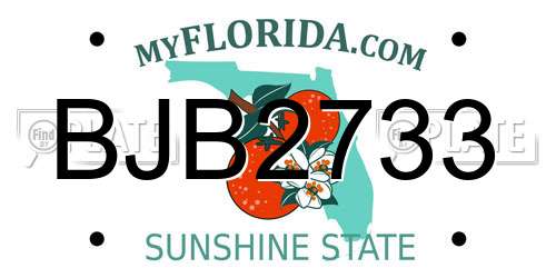 BJB2733 Florida License Plate