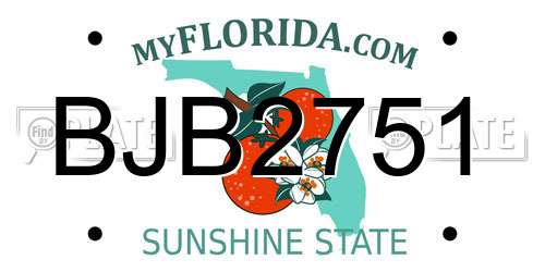BJB2751 Florida License Plate