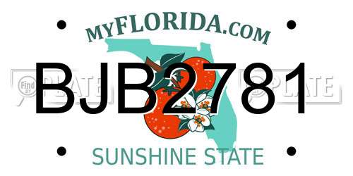BJB2781 Florida License Plate