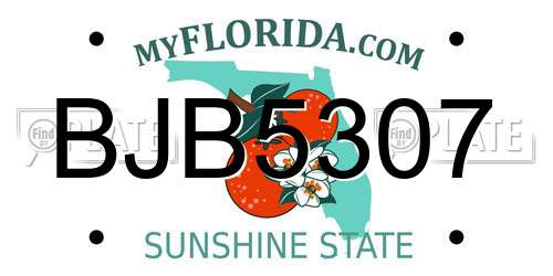 BJB5307 Florida License Plate