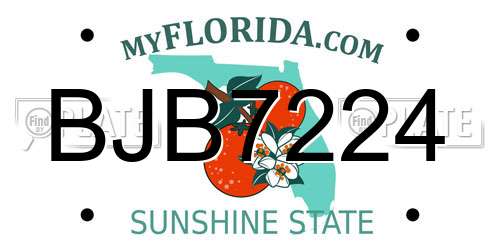 BJB7224 Florida License Plate