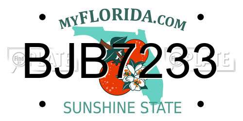 BJB7233 Florida License Plate