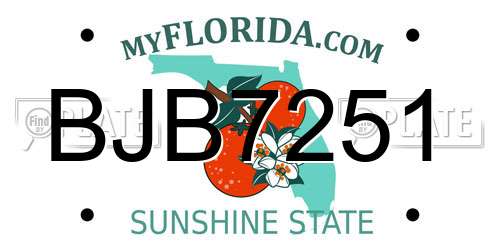 BJB7251 Florida License Plate
