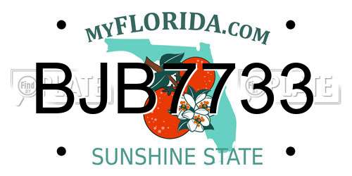BJB7733 Florida License Plate