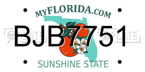 BJB7751 Florida License Plate