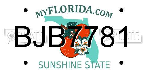 BJB7781 Florida License Plate