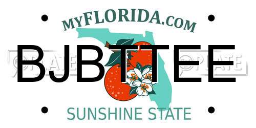 BJBTTEE Florida License Plate