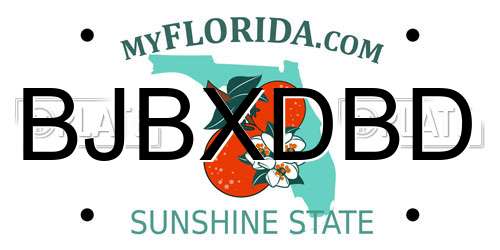 BJBXDBD Florida License Plate