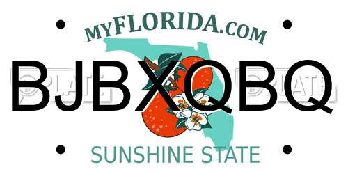 BJBXQBQ Florida License Plate