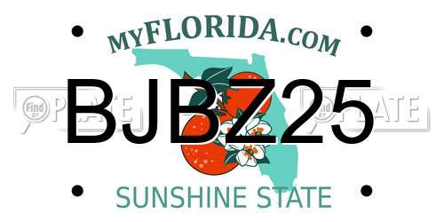 BJBZ25 Florida License Plate
