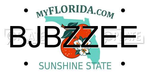 BJBZZEE Florida License Plate