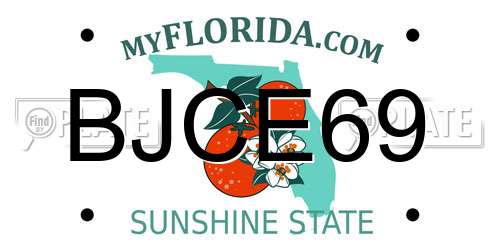 BJCE69 Florida License Plate