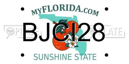 BJCI28 Florida License Plate