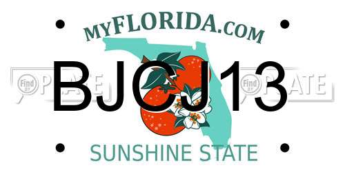 BJCJ13 Florida License Plate