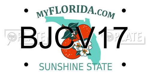 BJCV17 Florida License Plate