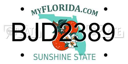 BJD2389 Florida License Plate