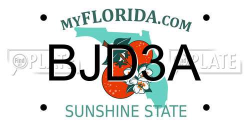 BJD3A Florida License Plate