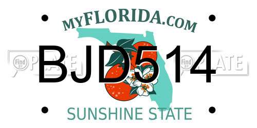 BJD514 Florida License Plate