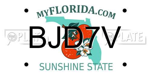 BJD7V Florida License Plate