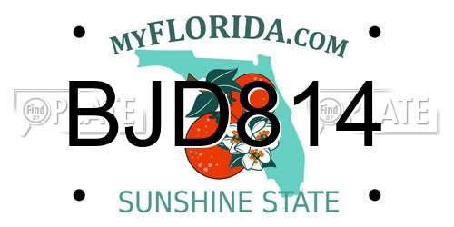 BJD814 Florida License Plate