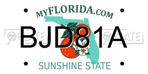 BJD81A Florida License Plate