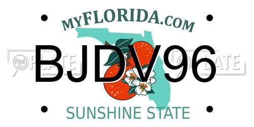 BJDV96 Florida License Plate