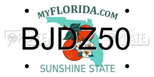 BJDZ50 Florida License Plate