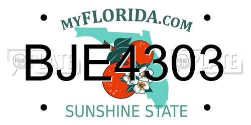 BJE4303 Florida License Plate