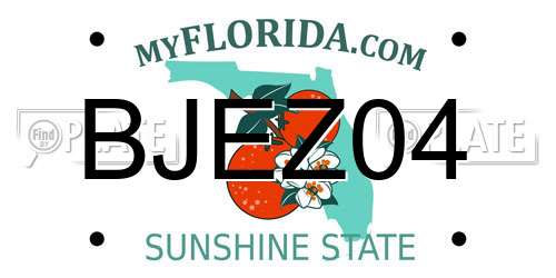 BJEZ04 Florida License Plate