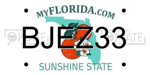 BJEZ33 Florida License Plate