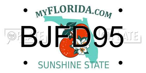 BJFD95 Florida License Plate