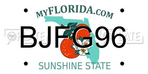 BJFG96 Florida License Plate