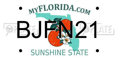 BJFN21 Florida License Plate