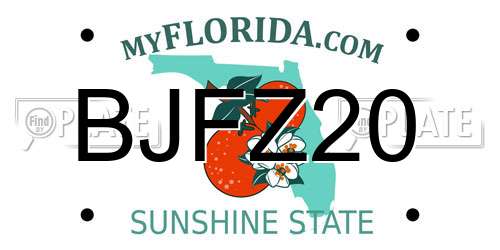 BJFZ20 Florida License Plate