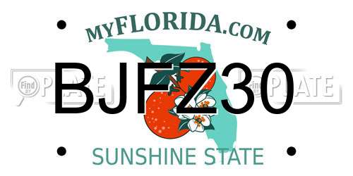 BJFZ30 Florida License Plate