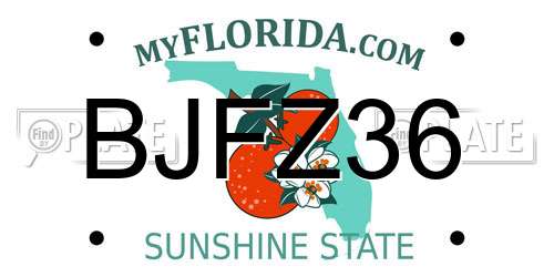 BJFZ36 Florida License Plate