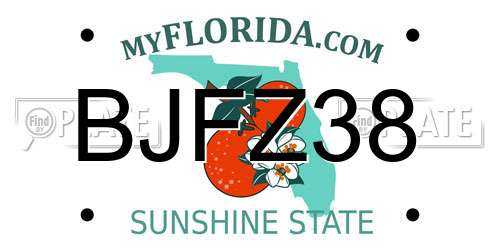 BJFZ38 Florida License Plate