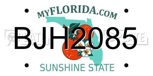 BJH2085 Florida License Plate