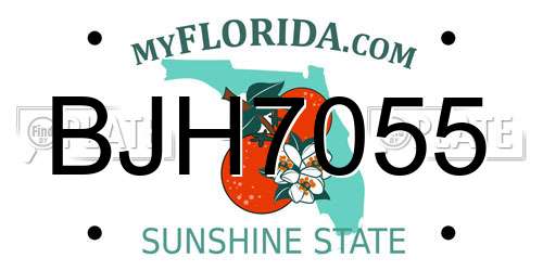 BJH7055 Florida License Plate
